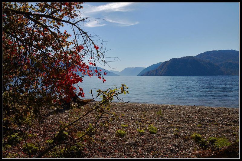 Краски осени. фото превью
