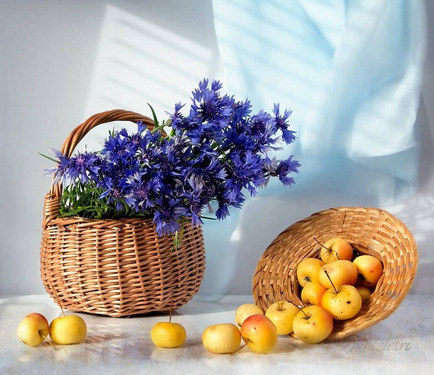 натюрморт, цветы, васильки, яблоки, Наталья Кузнецова (Nateletro)