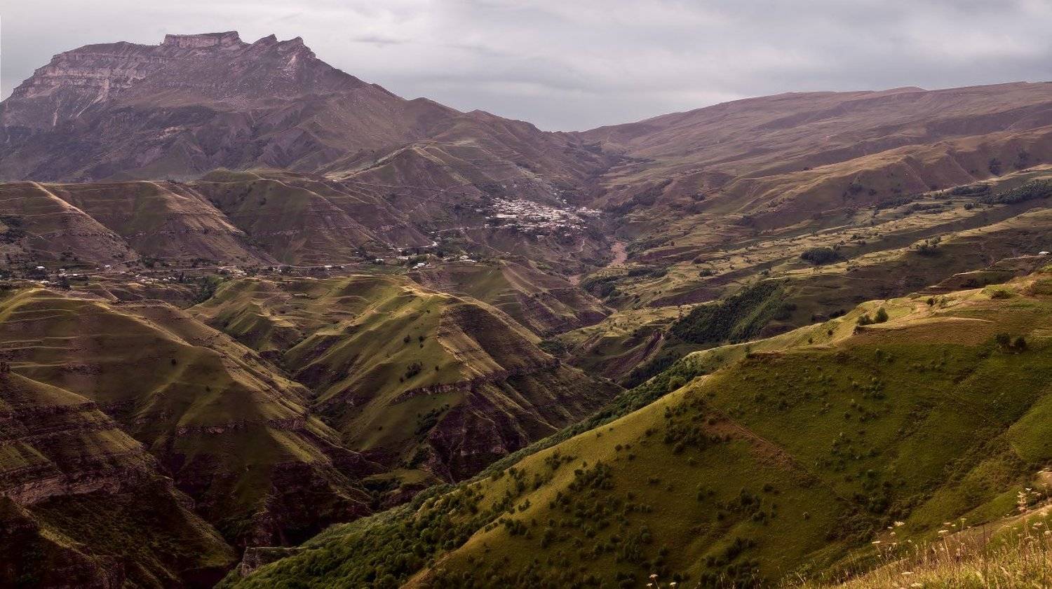 , Гамидов Мурад