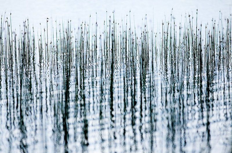 линии фото превью