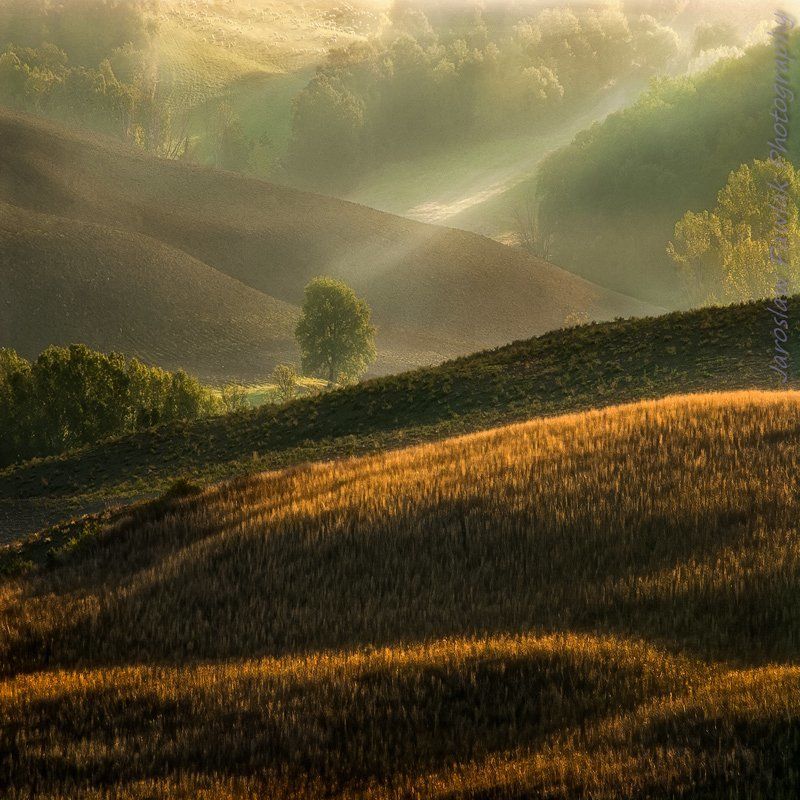 The guardian of light фото превью