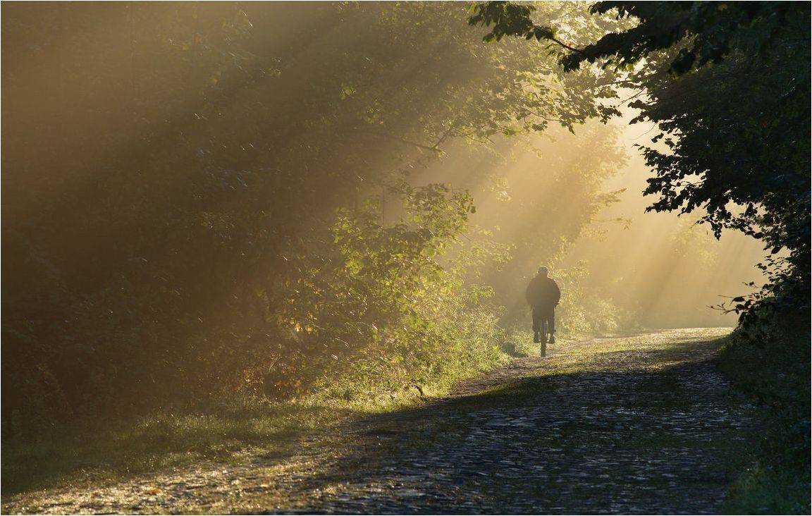 , Володимир Карчевський