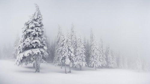 О настоящей суровой зиме