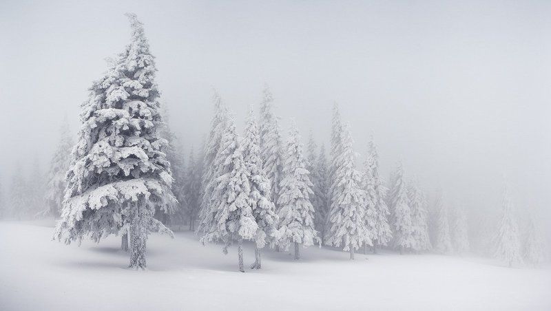 карпаты, горы, снег, зима О настоящей суровой зиме фото превью