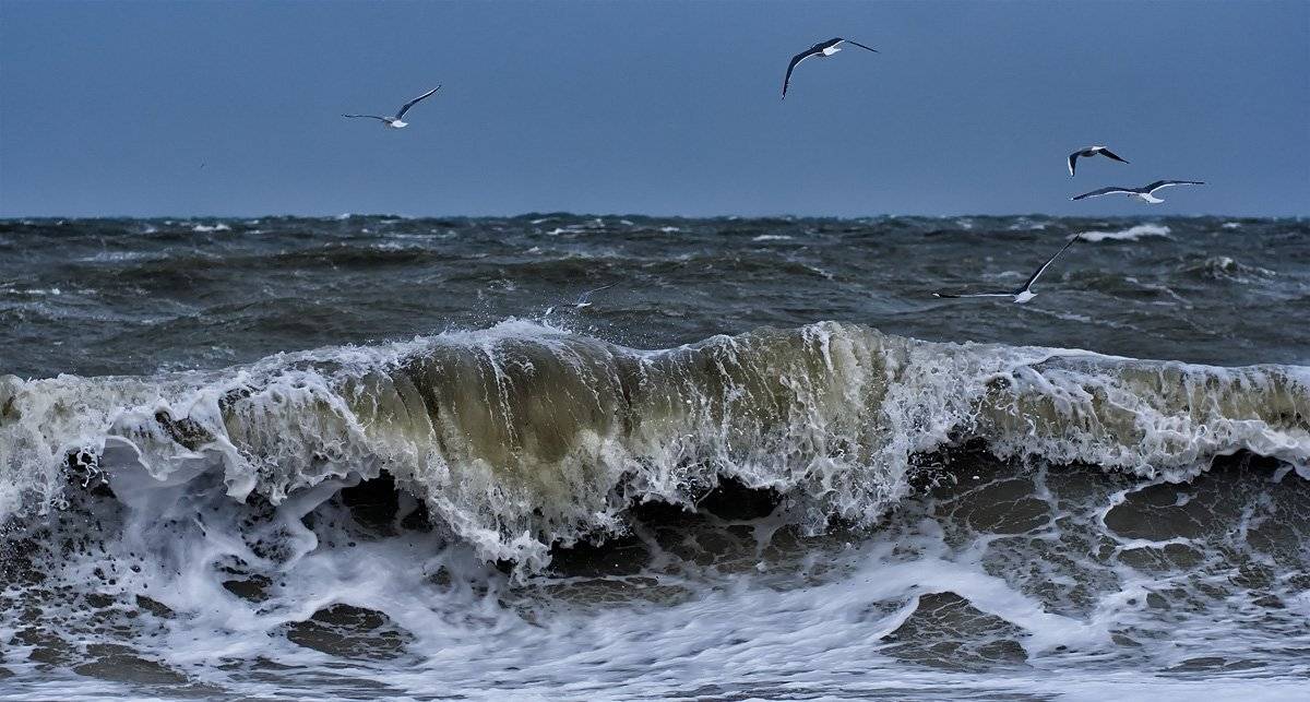 , Сергей Дымченко