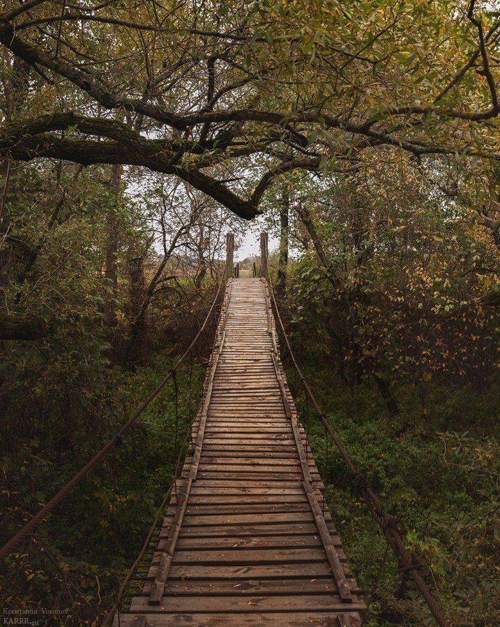 , Konstantin Voronov