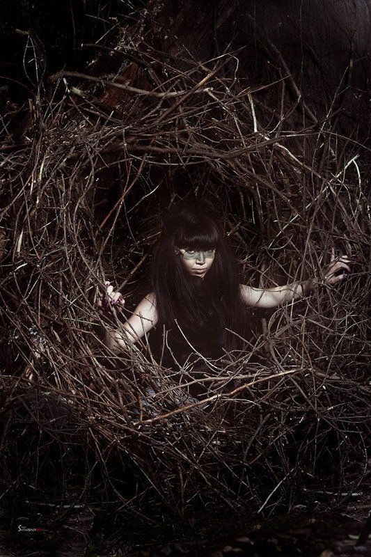 Oksi фото превью