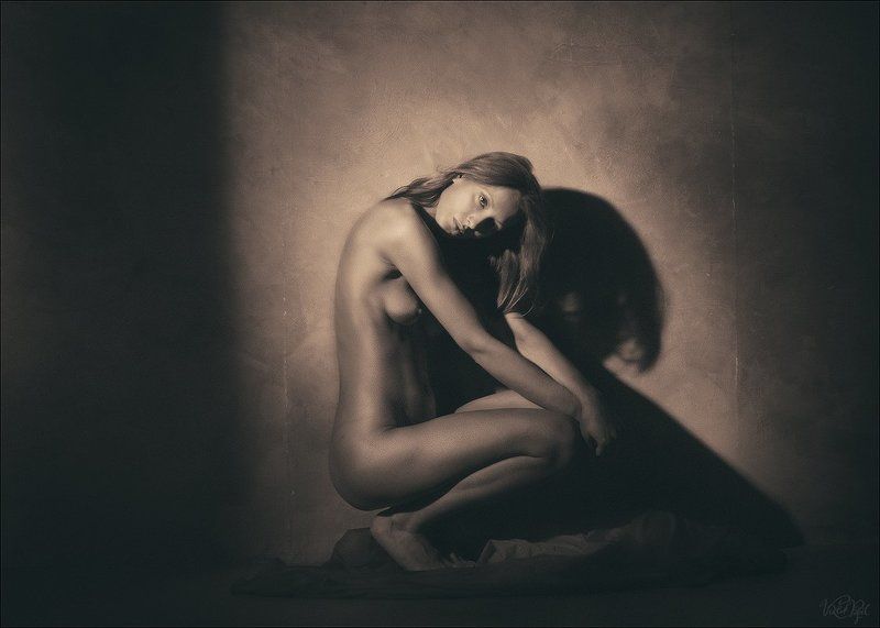 тень фото превью