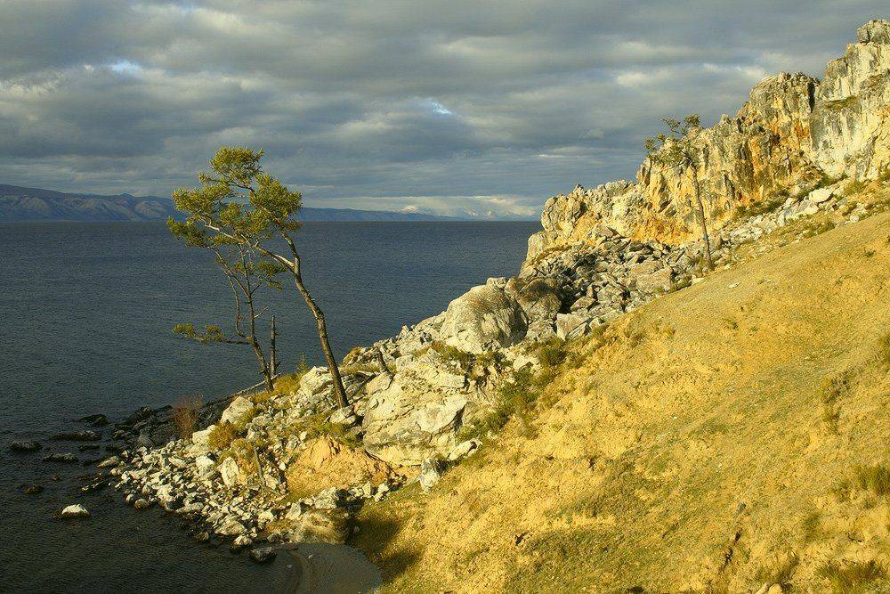 , Николай Морский
