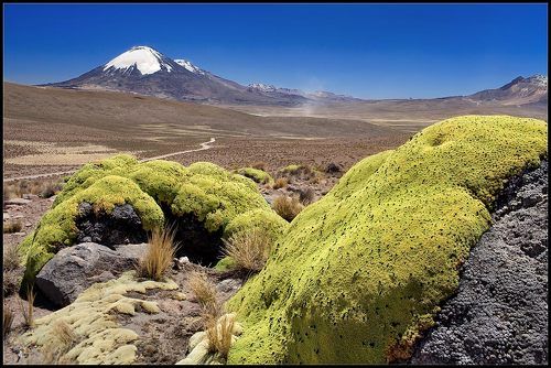 Вулкан Паринакота