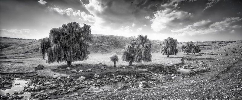 *** фото превью