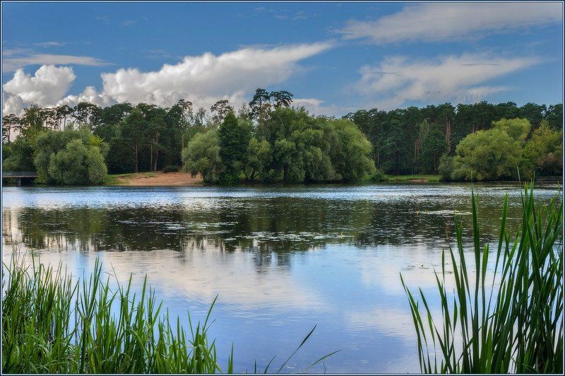 Грибной дождик в Серебряном бору фото превью