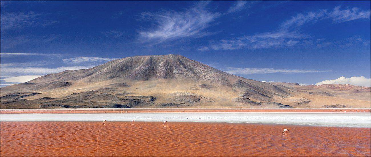 боливия, лагуна, колорадо, Yury Pustovoy