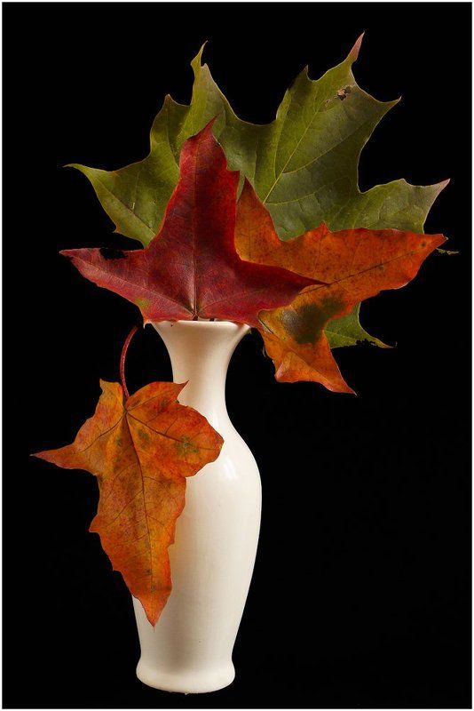 Осенний букет фото превью