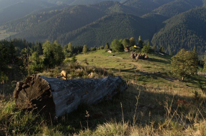 карпаты  фото превью