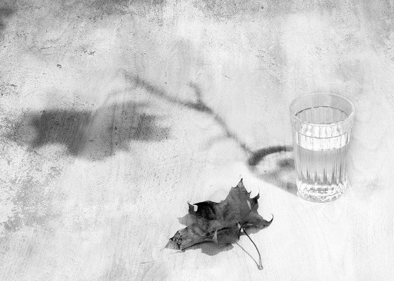 осень фото превью