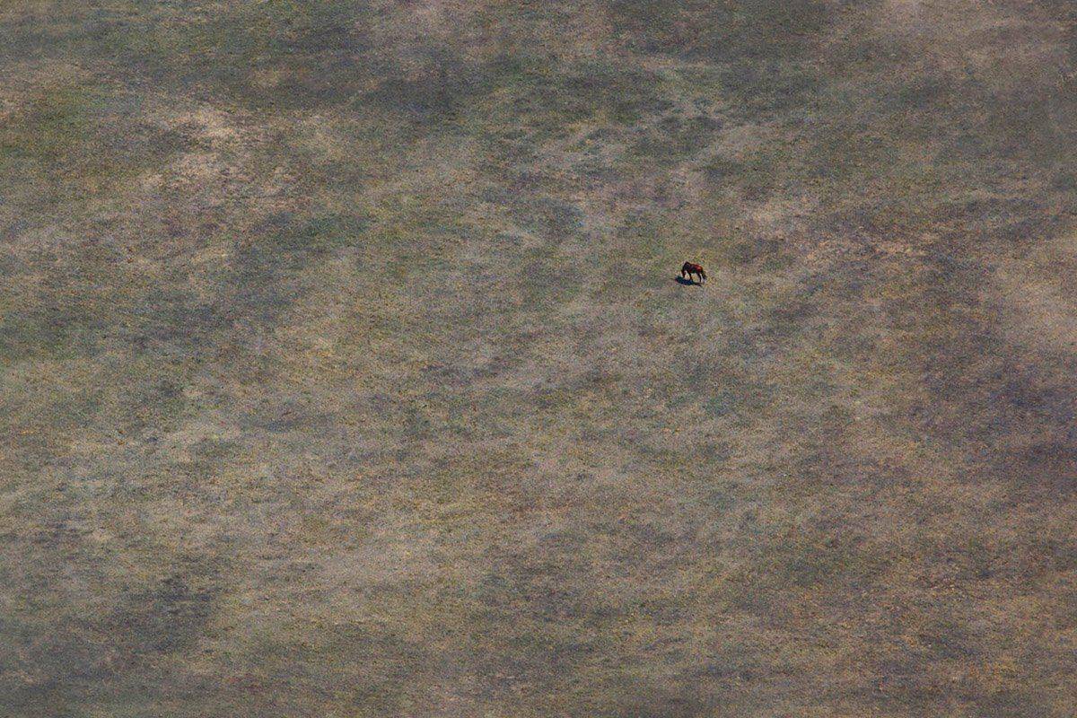 , Сидоренко Алексей