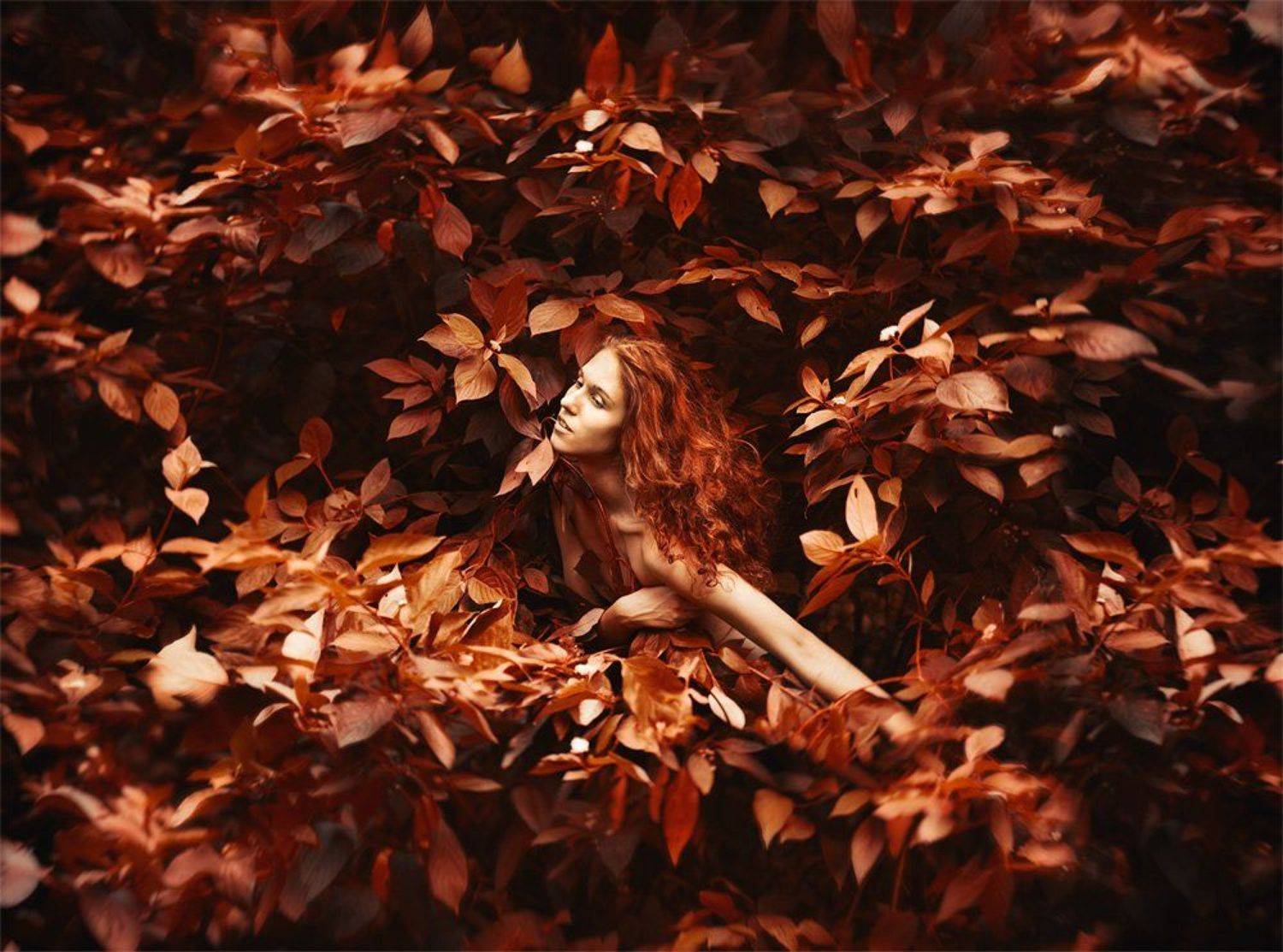 , Павел Рыженков