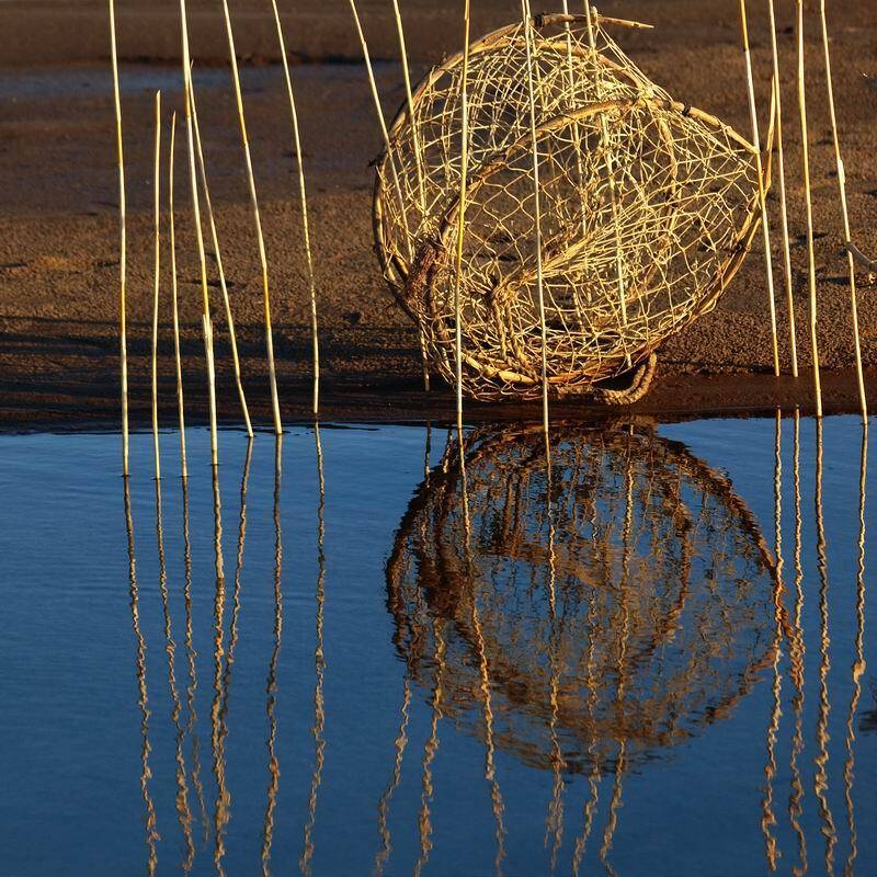 натюрморт, звоз, музыка, николай дмитрук