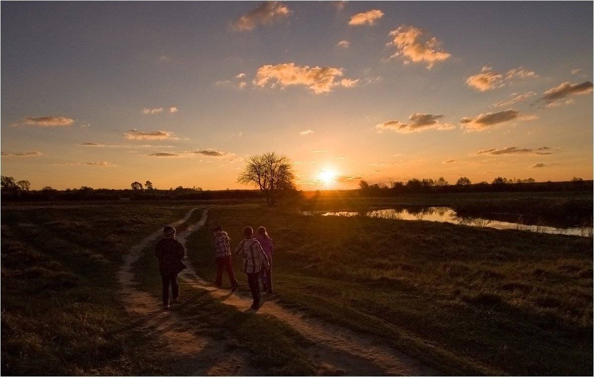 , Николай Шахманцир