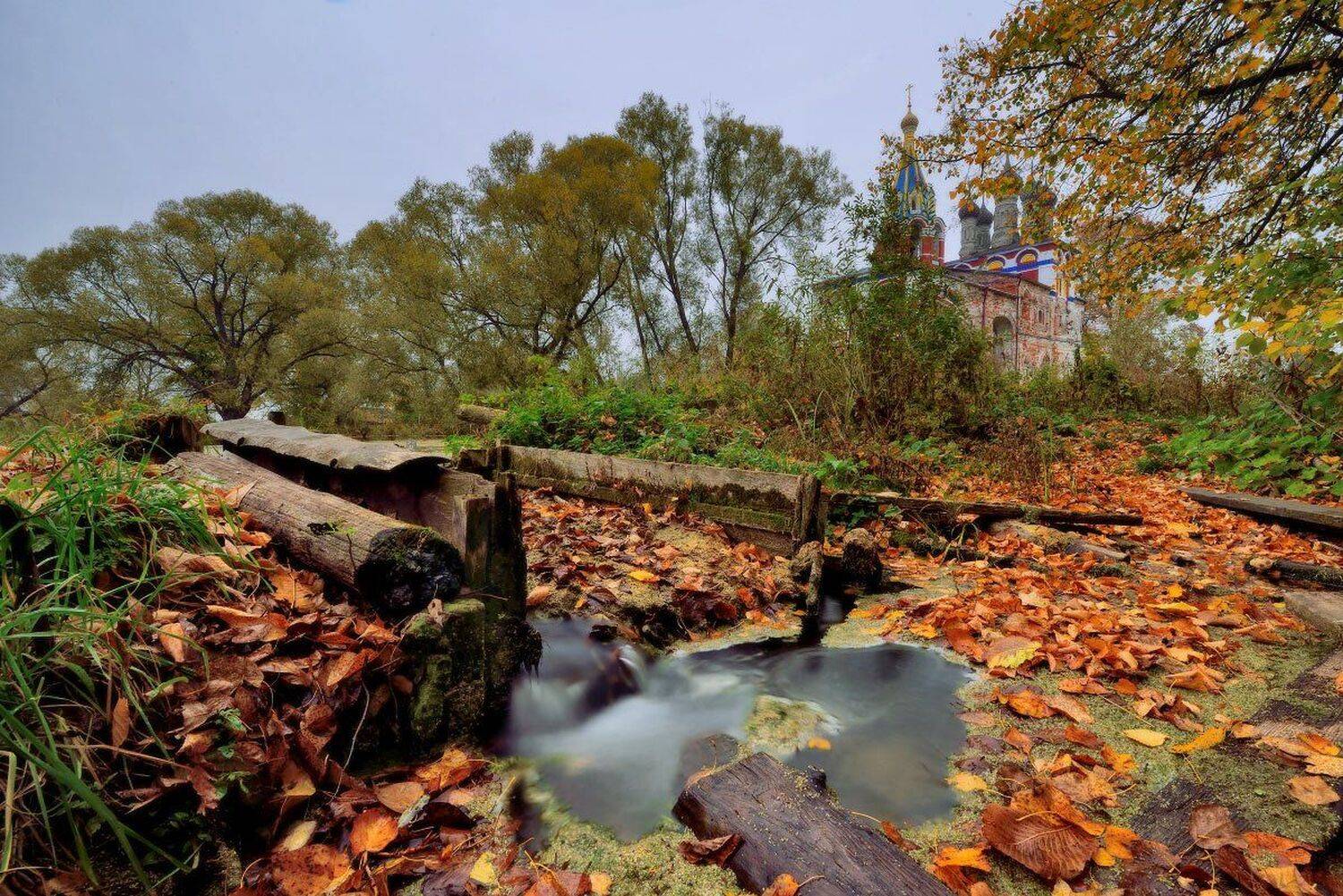 , Максим Евдокимов