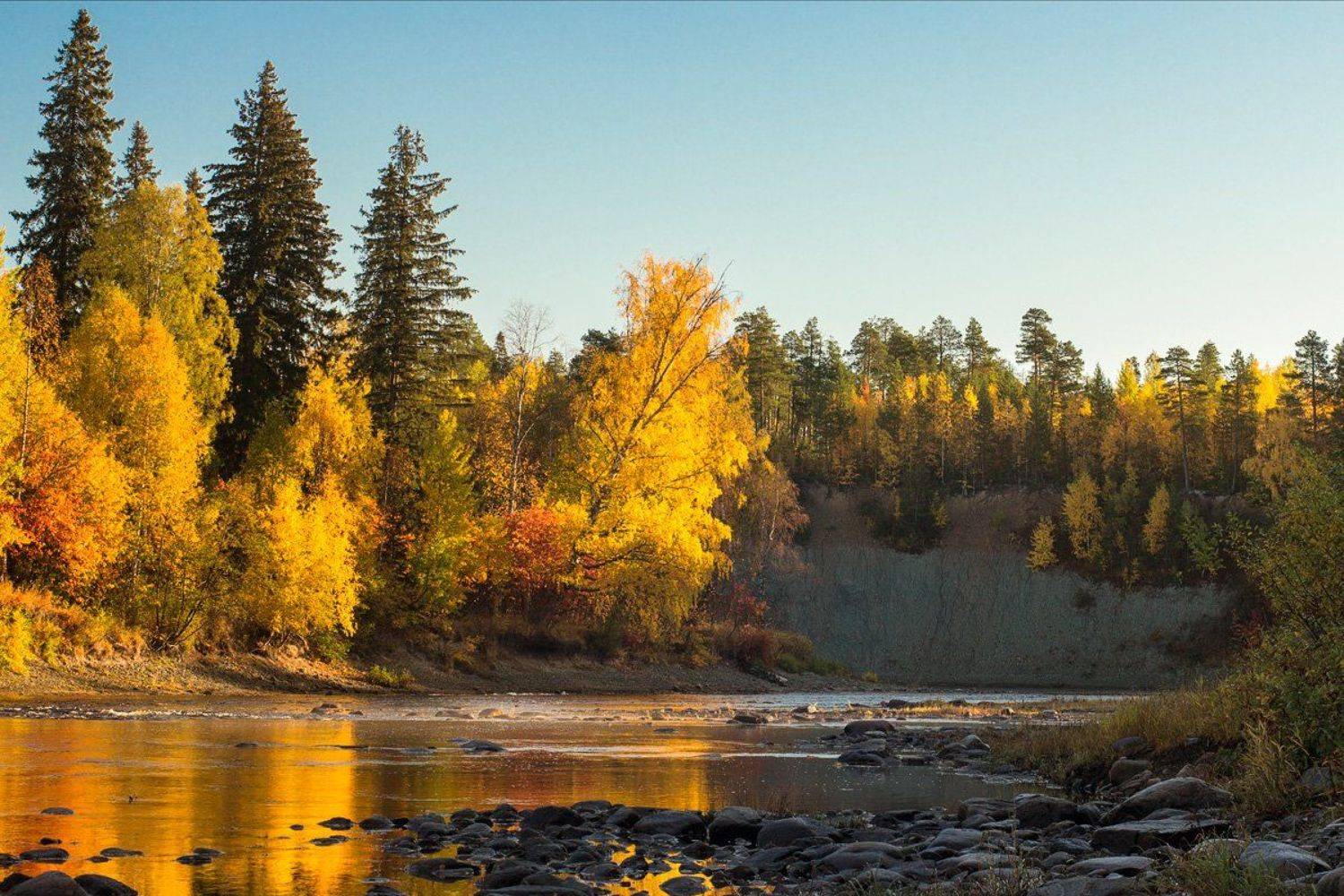 север, солза, Илья Бармин