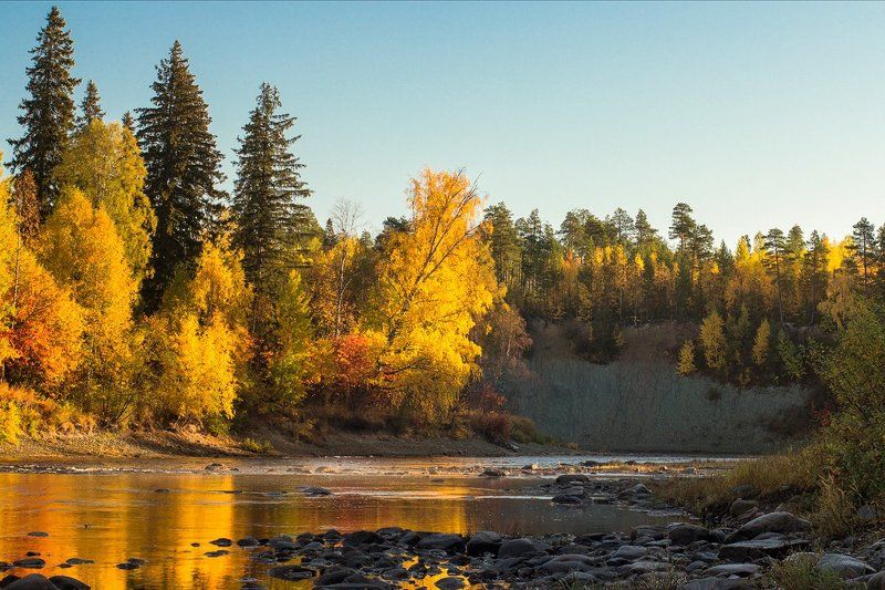 север, солза Как-то утром... фото превью