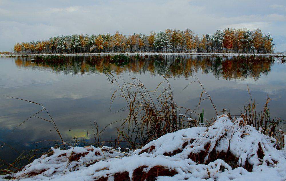 , Николай Морский