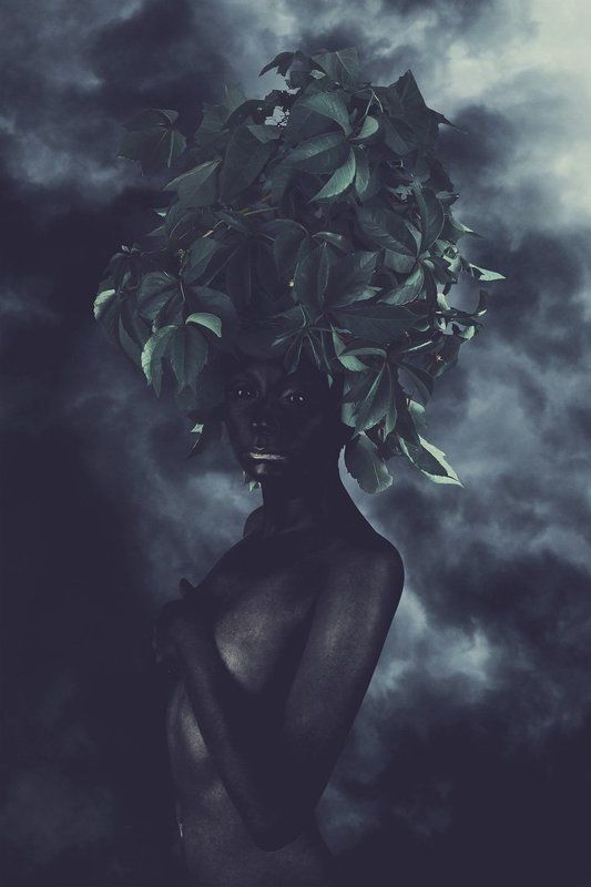 Серия «Limbus» фото превью