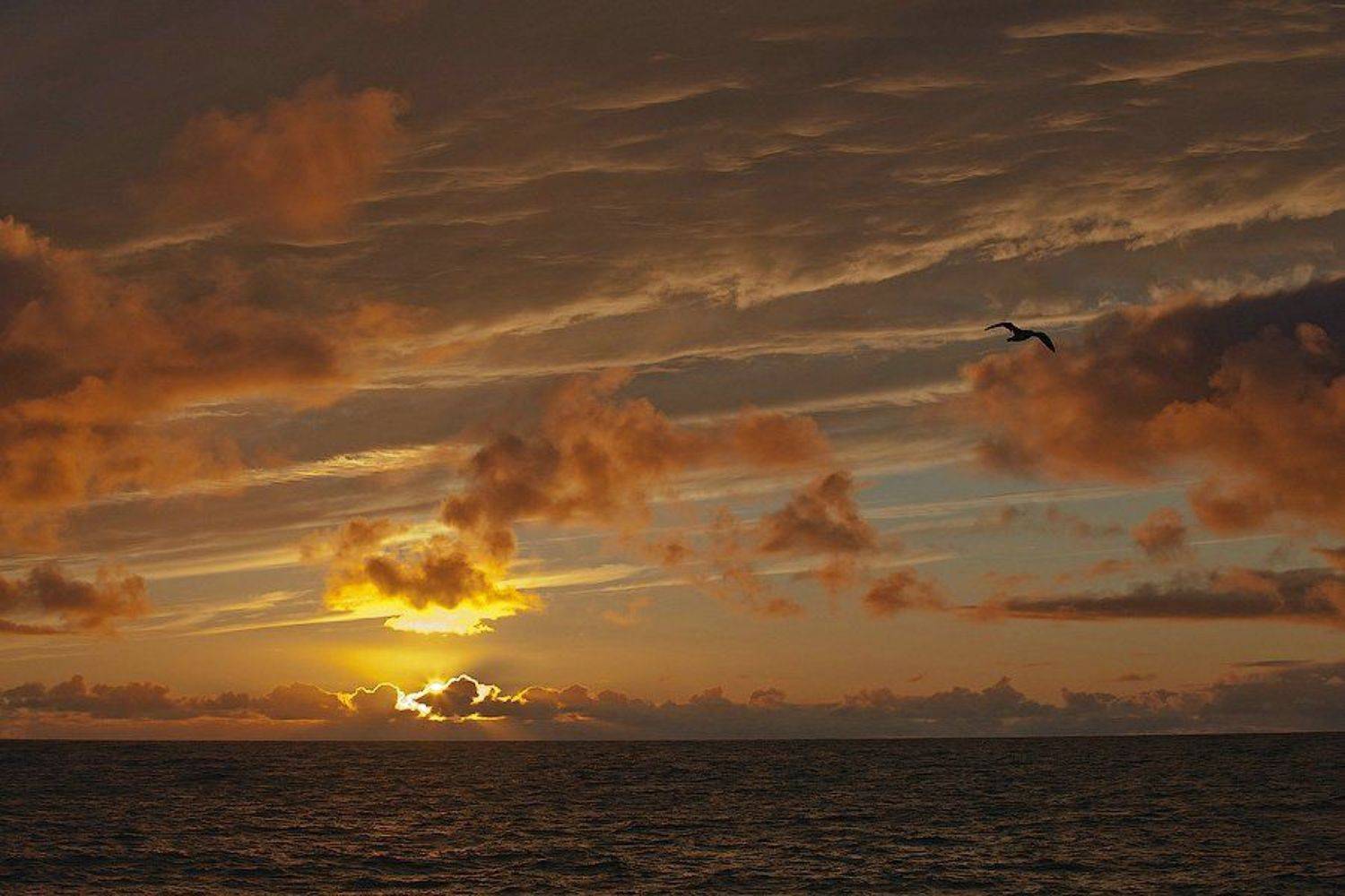 арктика, закат, баренцево море, север, россия, пейзаж, облака, солнце, arctic, sunset barencevo sea, north, russia, landscape, clouds, Игорь Подгорный