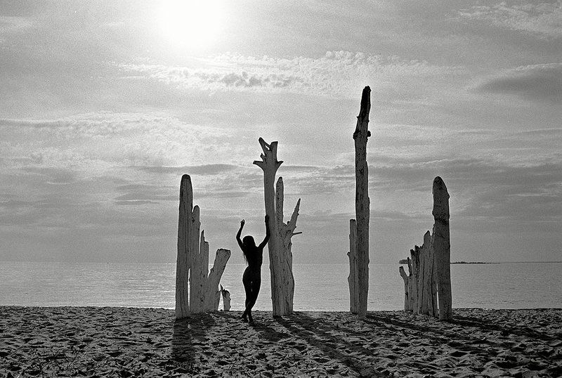 Sunvibes фото превью