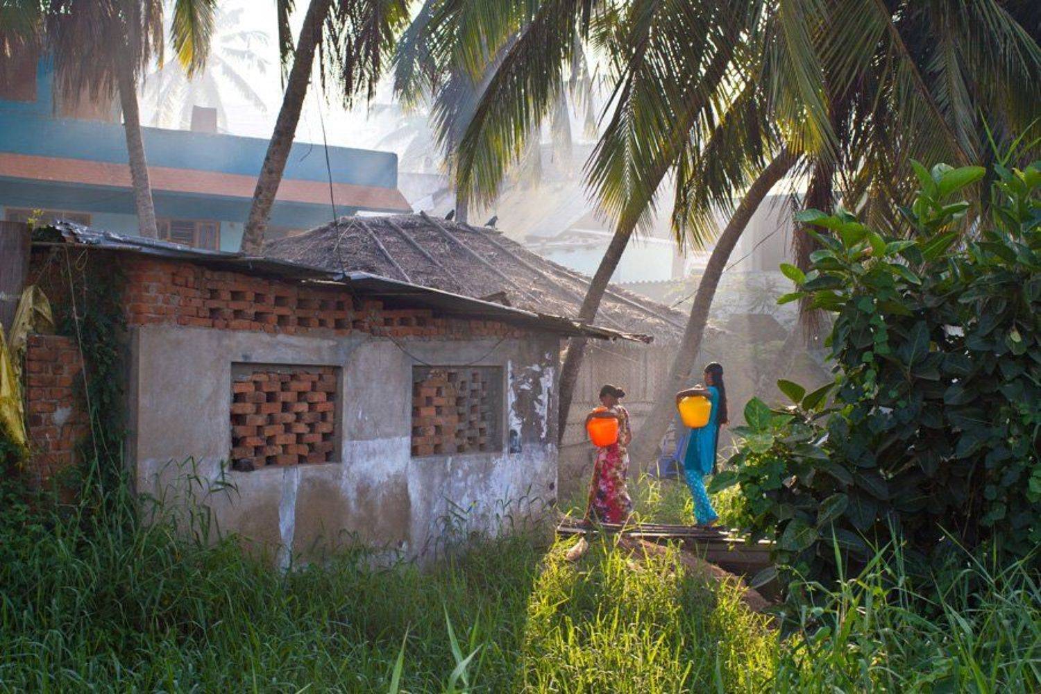 индия, керала, Faletkin Mikhail