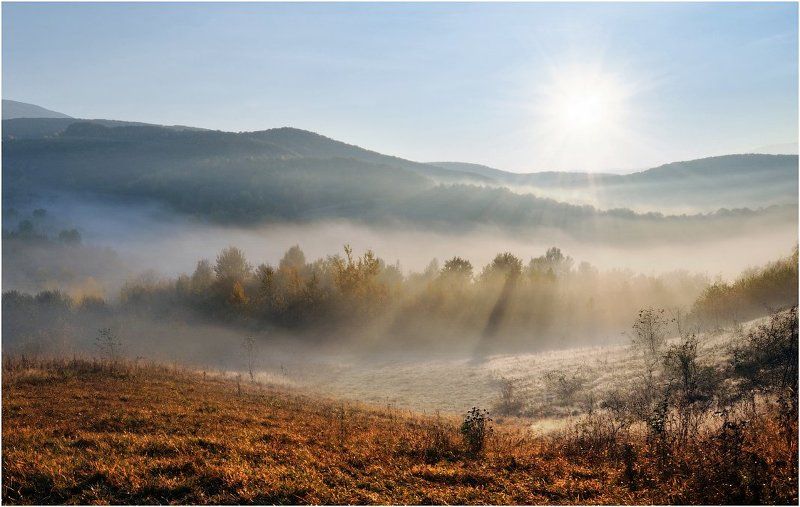 Про утреннее солнце... фото превью