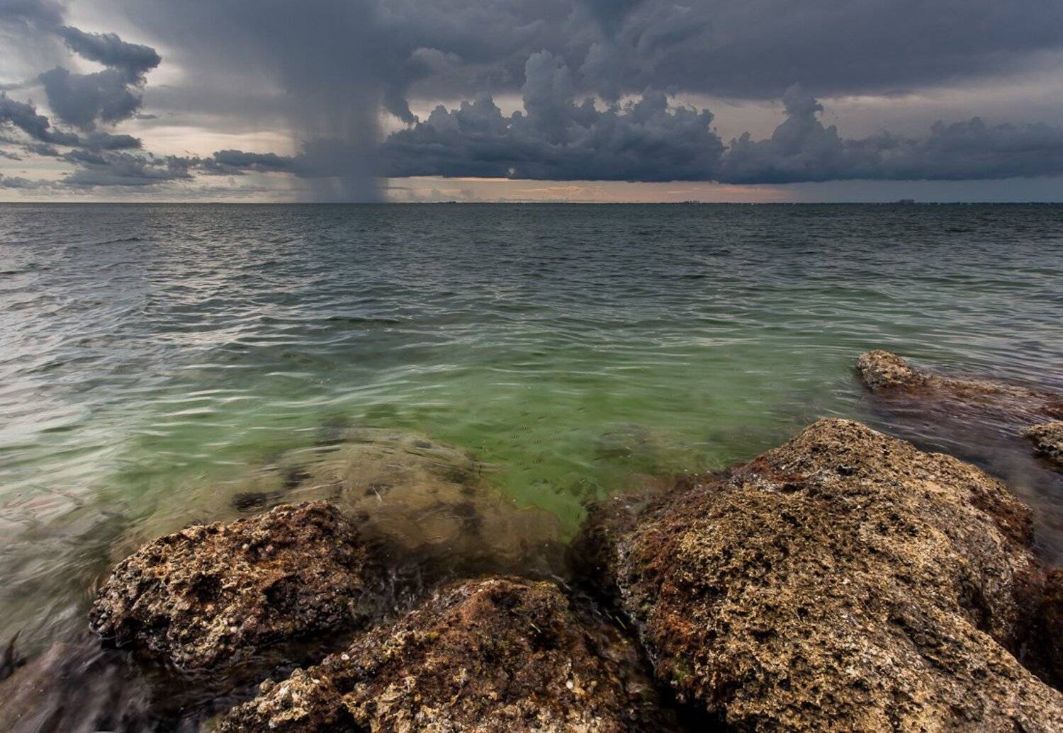 , Илья Таран