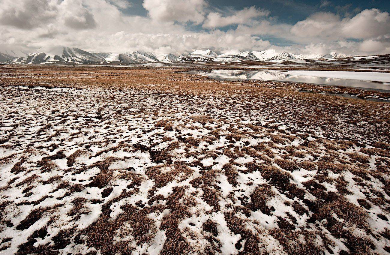 барскоон, киргизия, Андрей Ведерников