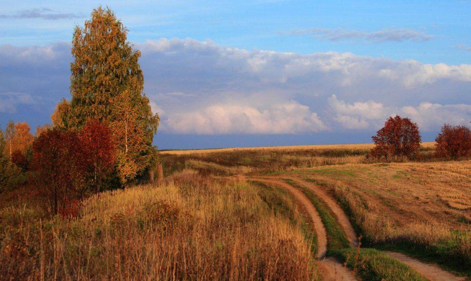 , Андрей Перешеин