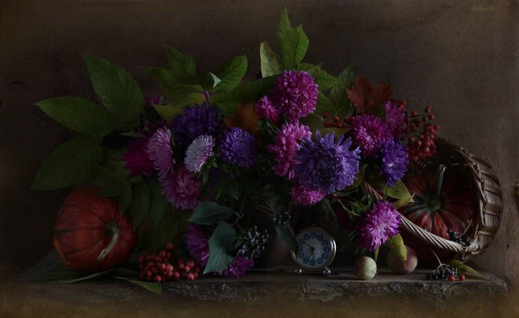 натюрморт, цветы, Svetlana Ра