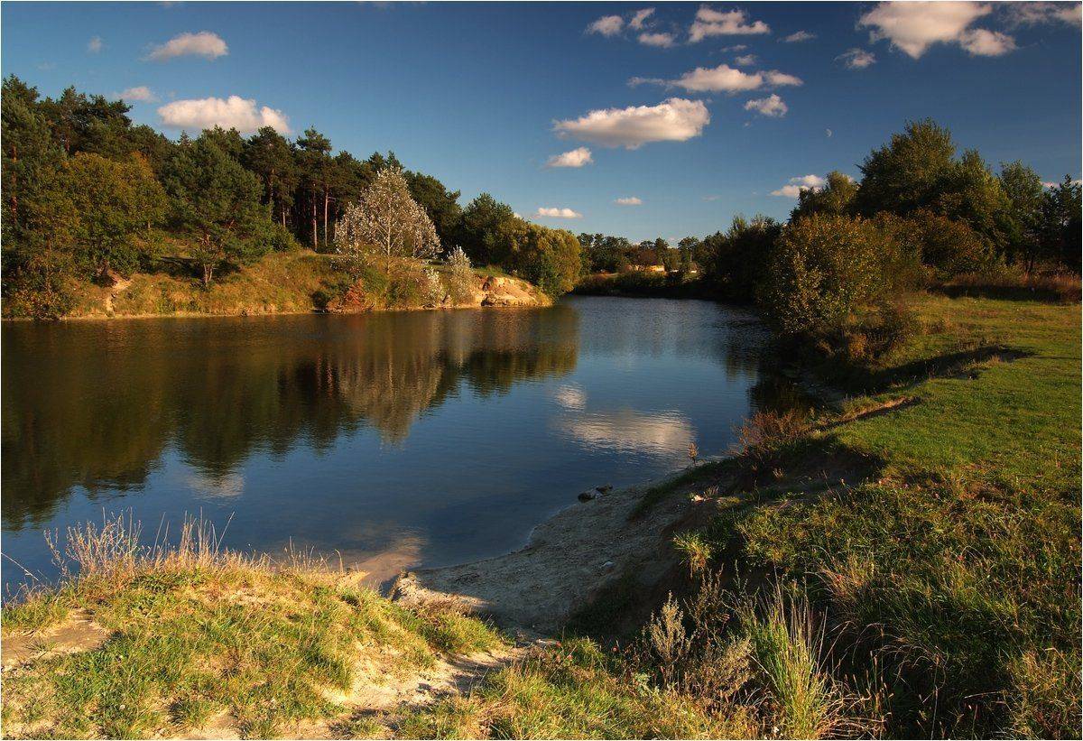 , Николай Шахманцир