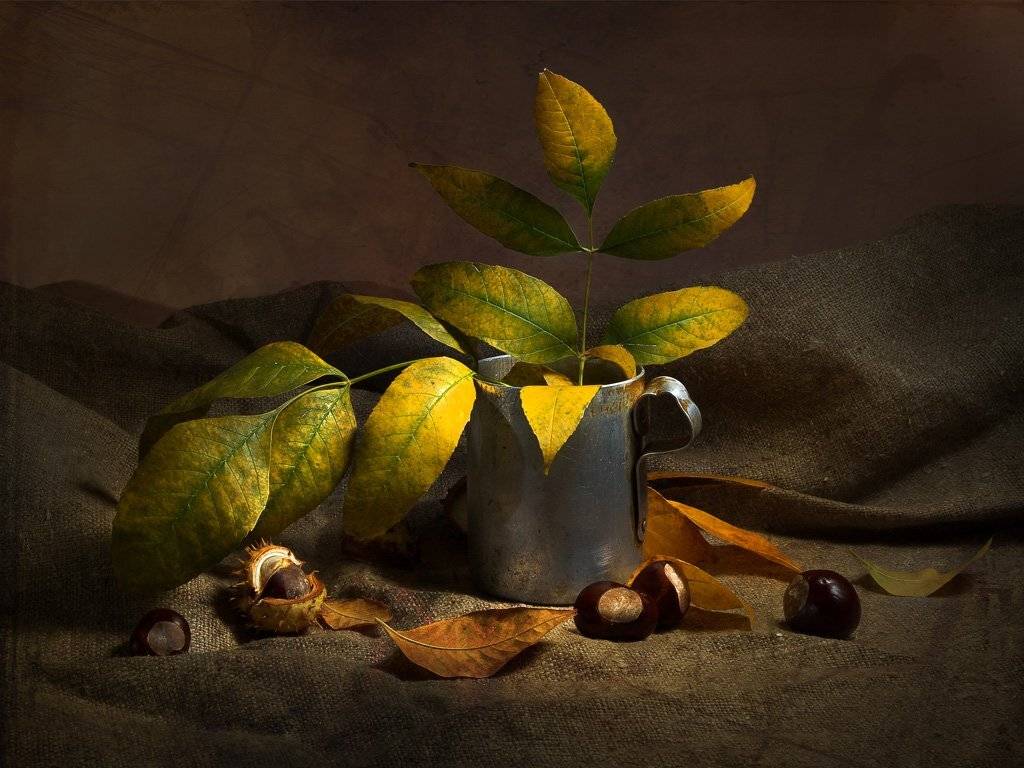 , Лев Сердюков