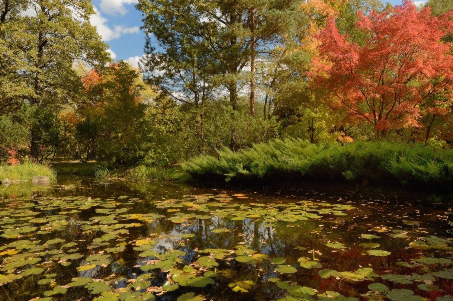 , Сергей Седов