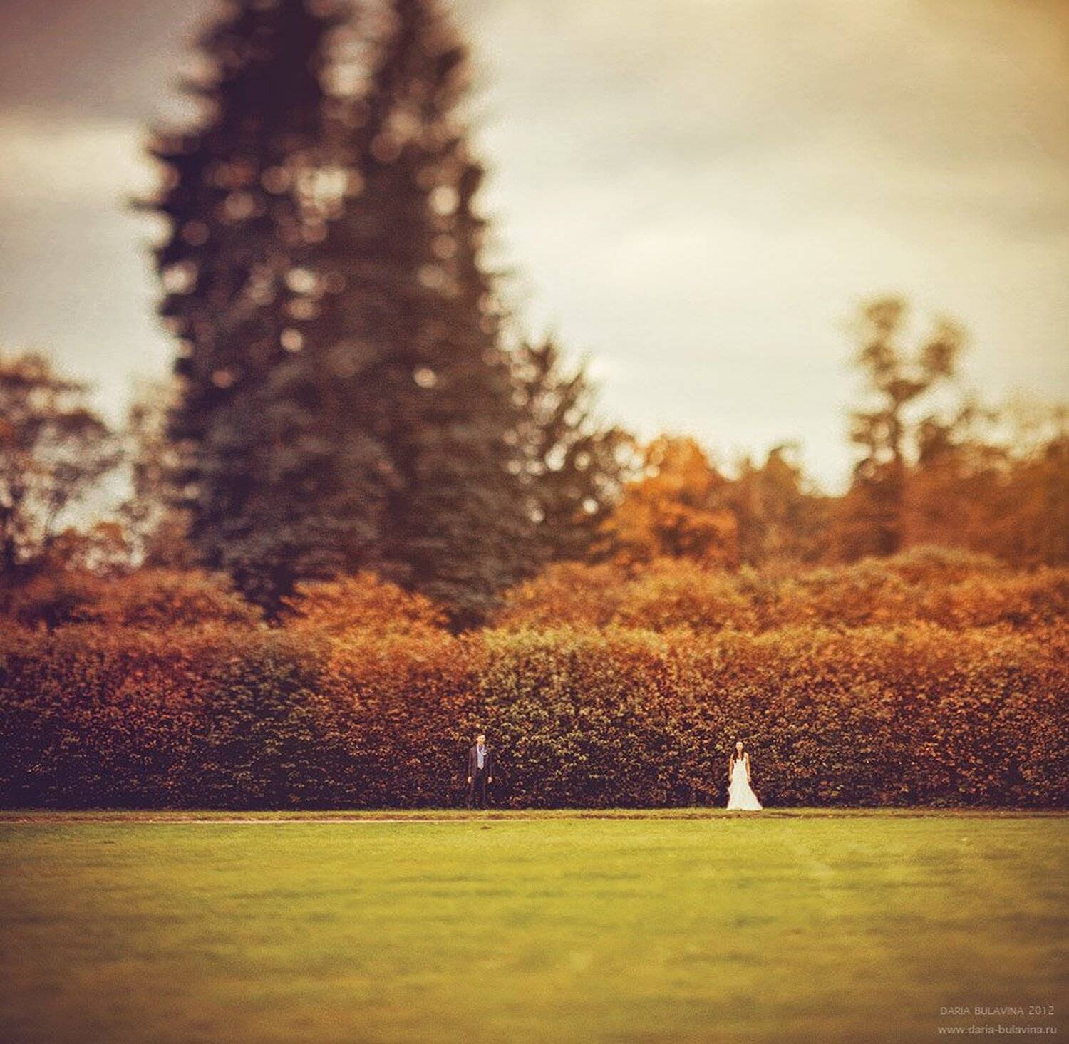 , Дарья Булавина