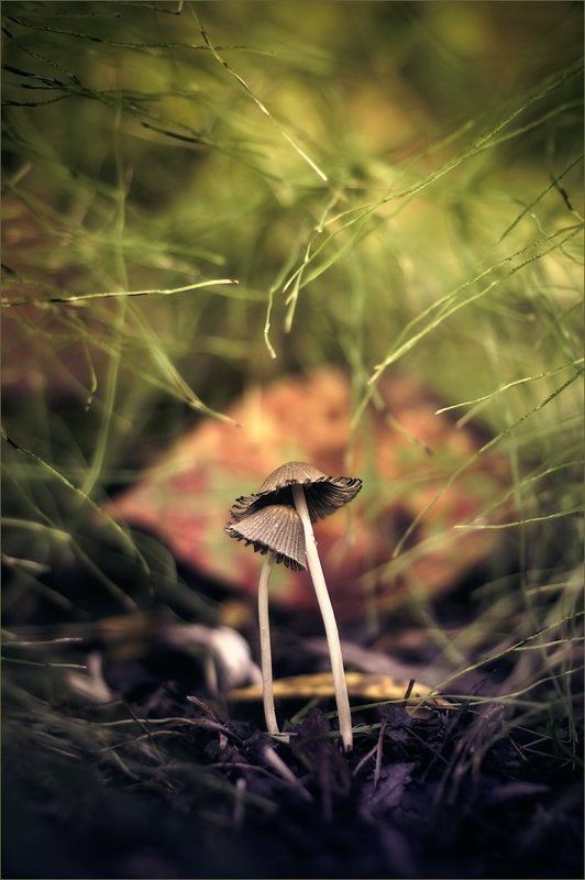 Вместе не страшно фото превью