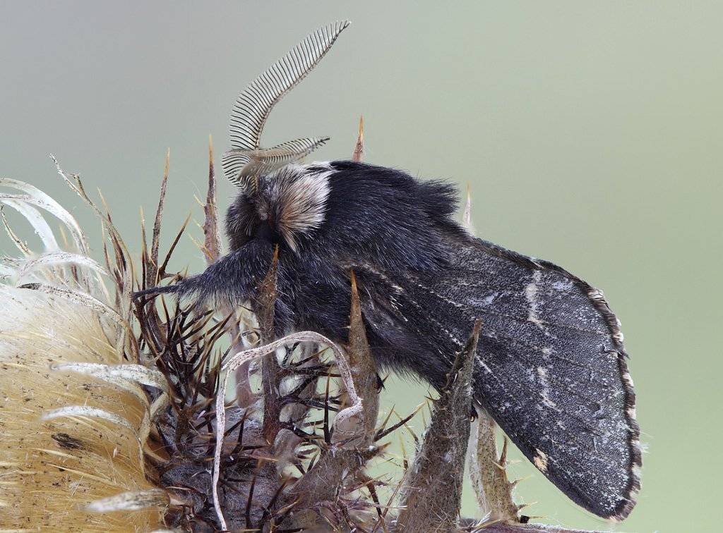 , Сергей Таланов