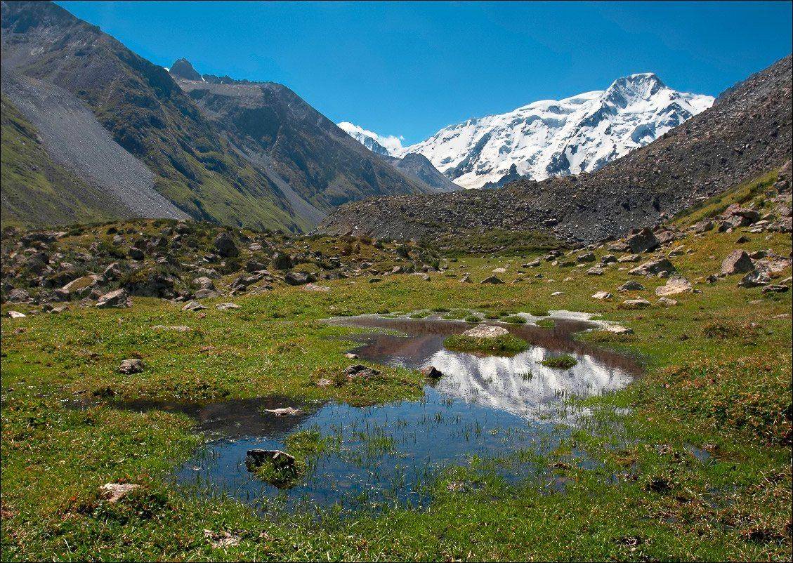 , Вадим Никифоров