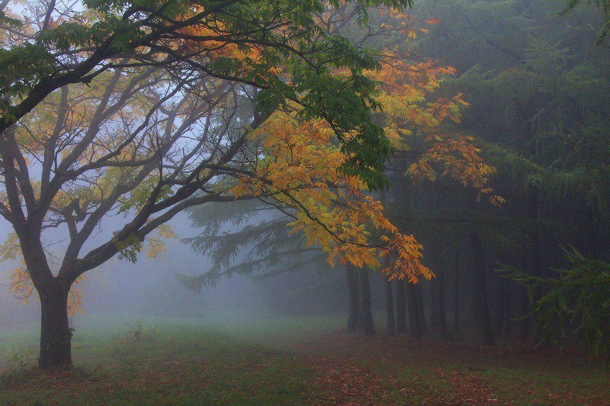 , Михаил  Пилипенко