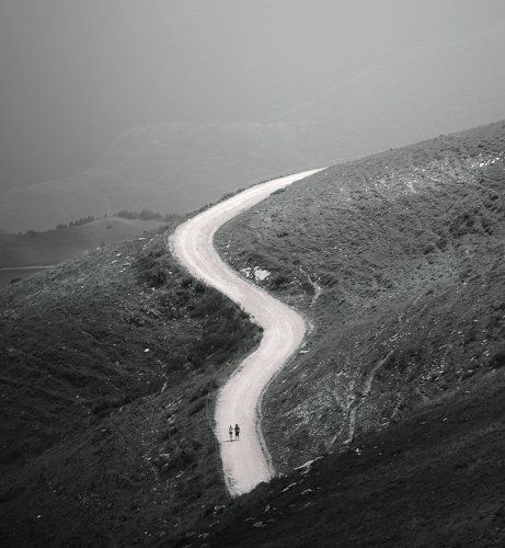 Одним движением карандаша