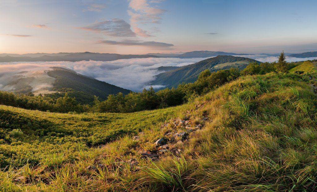 , Любомир Тригубишин