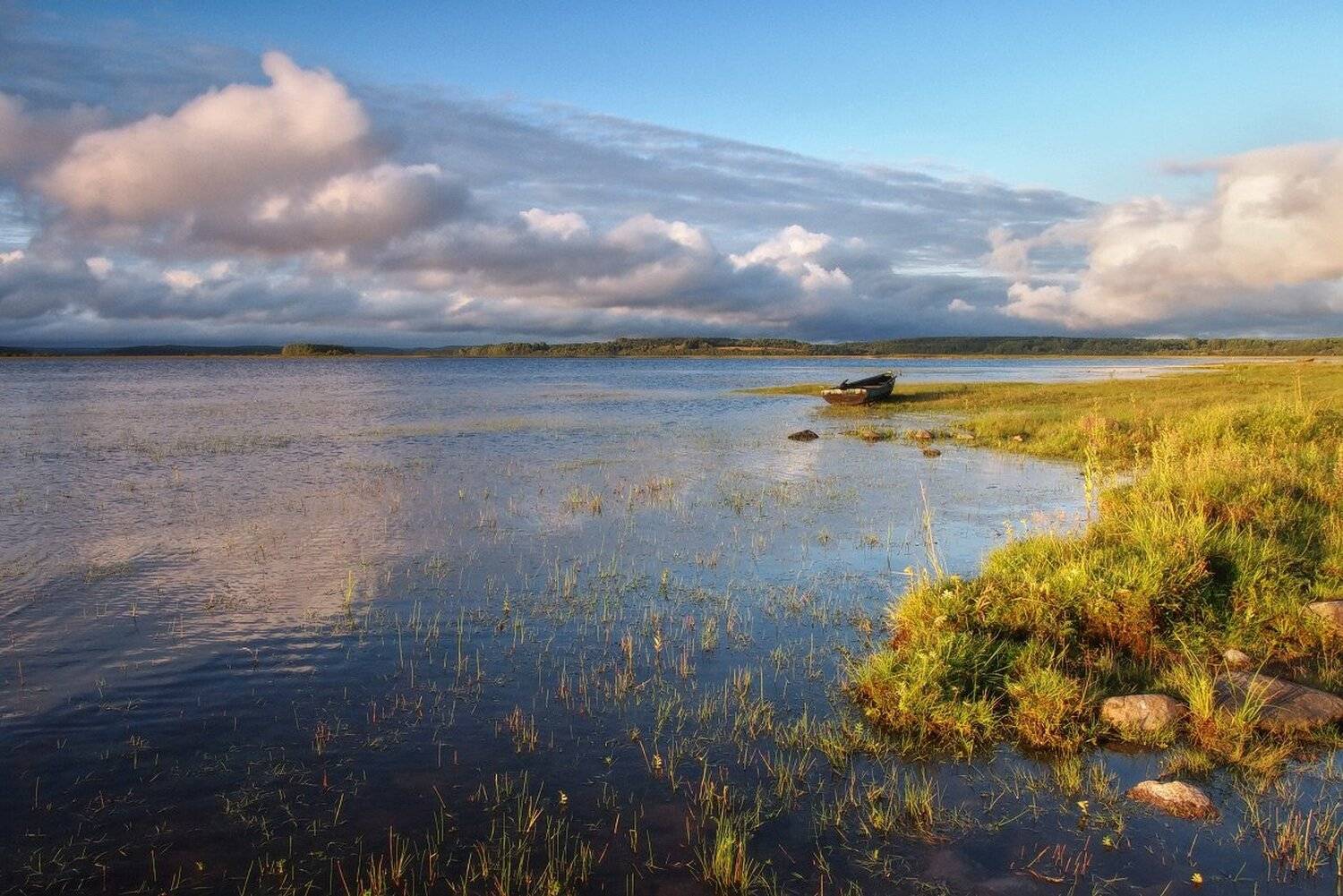 , Максим Евдокимов