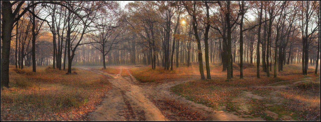 утро, осень, заморозки, дороги, тропинки, мастер-класс, Александр Киценко