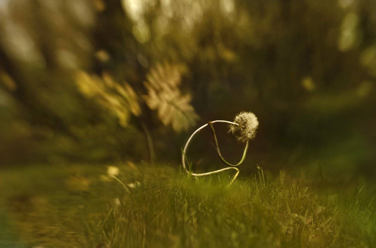 , Татьяна Гориловская